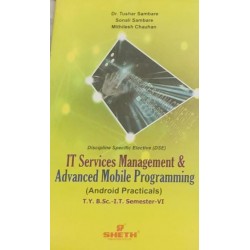 IT Services Management and AMP Sem 6  TYBSc IT Sheth