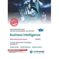 Business Intelligence Sem 6  TYBSc-IT Tech-knowledge