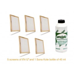 Practicals material for Graphics Class 12 DPS Kit consists 5 screens of 10” x 12” and 1 bottle of Sona Kote 500 ml.