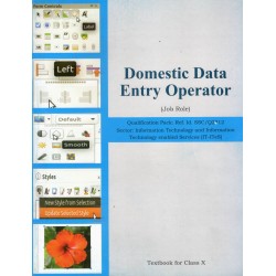 Domestic Data Entry Operator NCERT book for Class 10