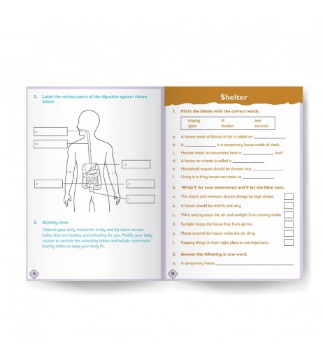 Science Workbook  Level 3 by Moonstone