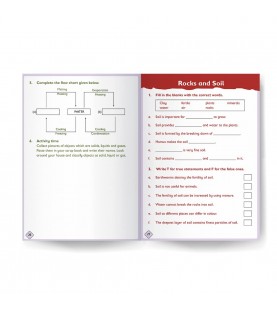 Science Workbook  Level 3 by Moonstone