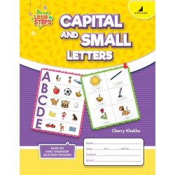 Capital and Small Lettters Little Steps