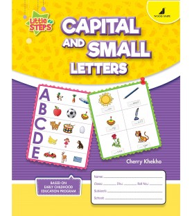 Capital and Small Lettters Little Steps