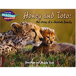 Cambridge 1 Pathfinders Honey and Toto the story of a cheetah family