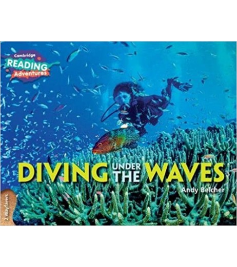 Cambridge 2 Wayfarers Diving Under the Waves   - SchoolChamp.net