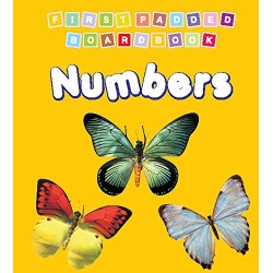 Dreamland First Padded Board Book - Numbers for Children Age 2-4 Years | Pre school Board books