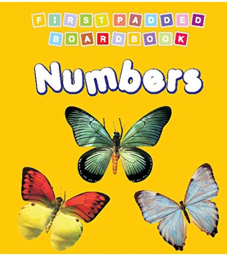 Dreamland First Padded Board Book - Numbers for Children Age 2-4 Years | Pre school Board books