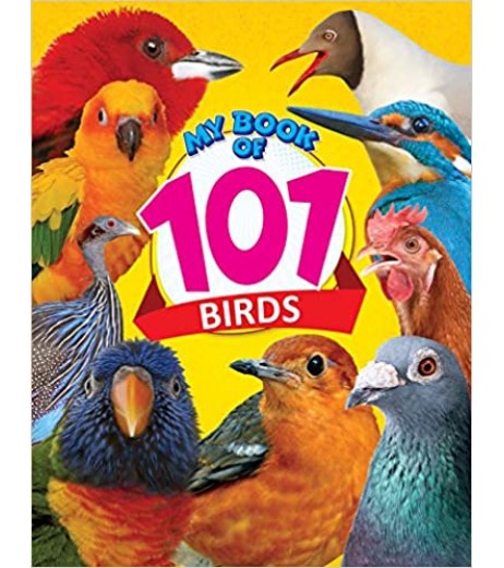 Dreamland My Book of 101 Birds for Children Age 2-4 Years | Pre school Board books 3 to 5 Years - SchoolChamp.net