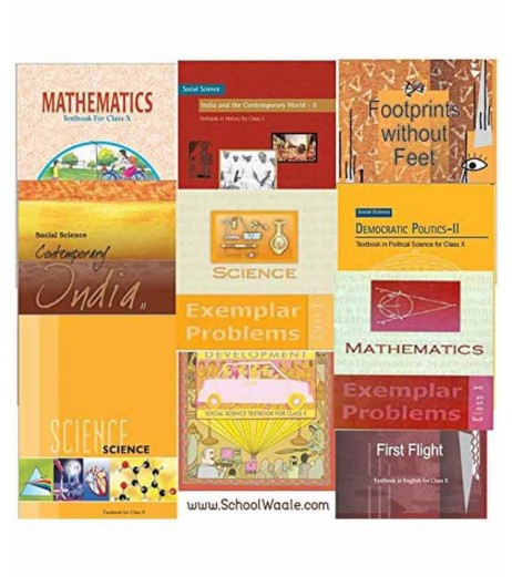 DPS Nagpur School Class 10 Book Set (Set of 10 Book)