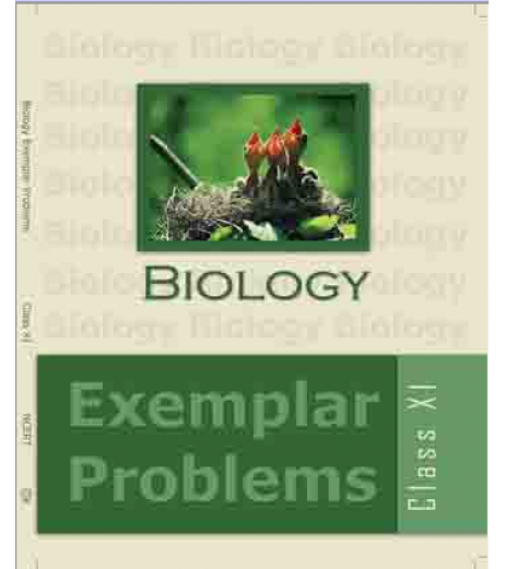 NCERT Biology Exemplar Problem for Class 11 DPS Class 11 - SchoolChamp.net