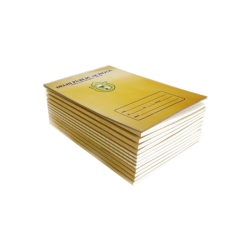 DPS Nerul Note books set for Class 5 Set of 29 | Latest