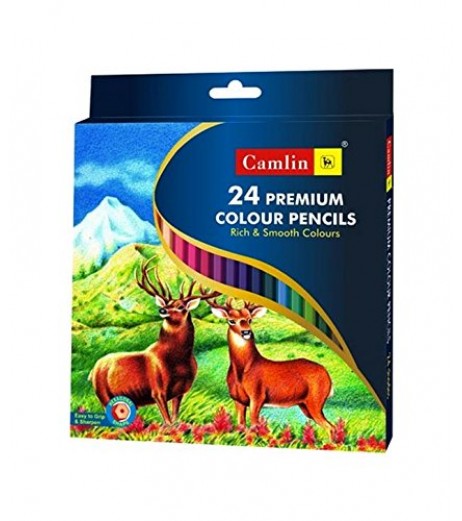 Colour Pencils 1 Pack with 24 Shades Colours and Brushes - SchoolChamp.net