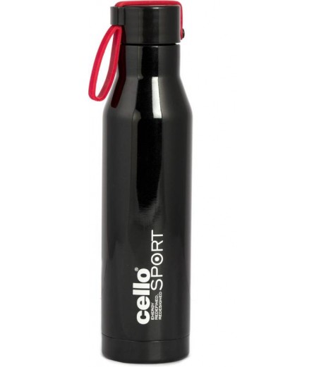 Stainless Steel Bottle 550 ml 1 Unit Bottle - SchoolChamp.net