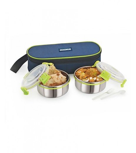 Lunchbox Stainless Steel With Case Set of 2 Green Lunch Box - SchoolChamp.net