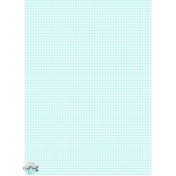 Graph Paper 2mm 100 sheets Pack of 1