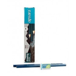 Apsara Platinum RT Pencil Pack Of 10