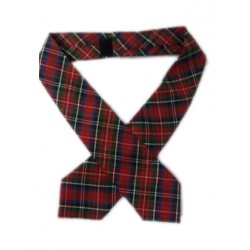 DAV School Uniform Multicolored Tie
