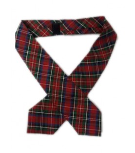 DAV School Uniform Multicolored Tie