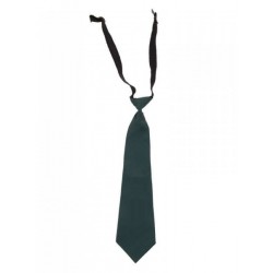 DPS Nerul School Uniform Green Tie