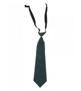 DPS Nerul School Uniform Green Tie