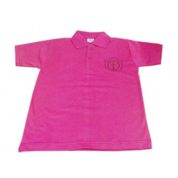 DPS Nerul School Uniform Pink P.T. T-Shirt for Boys