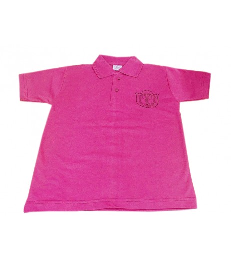 DPS Nerul School Uniform Pink P.T. T-Shirt for Boys Boys Uniforms - SchoolChamp.net