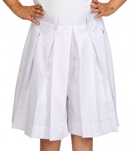 DPS Nerul School Uniform Skirt for Girls Girls Uniforms - SchoolChamp.net