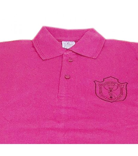 DPS Nerul School Uniform Pink P.T. T-Shirt for Boys Boys Uniforms - SchoolChamp.net