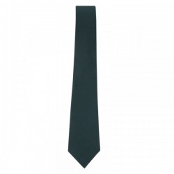 DPS Nerul School Uniform Green Tie