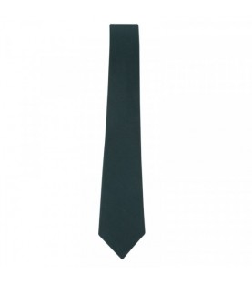DPS Nerul School Uniform Green Tie