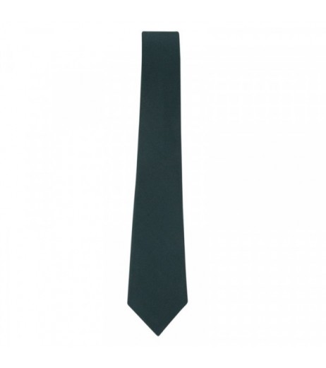 DPS Nerul School Uniform Green Tie Boys Uniforms - SchoolChamp.net