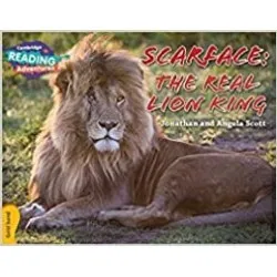 Cambridge Gold Scarface The Real Lion King