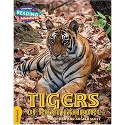 Cambridge Gold Tigers of Ranthambore