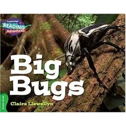 Cambridge Green Big Bugs