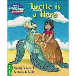 Cambridge Green Turtle is a Hero