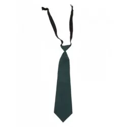 DPS Nerul School Uniform Green Tie