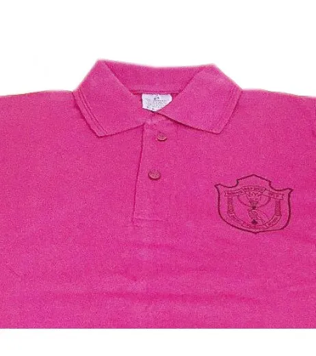 DPS Nerul School Uniform Pink P.T. T-Shirt for Boys - DPS Uniform