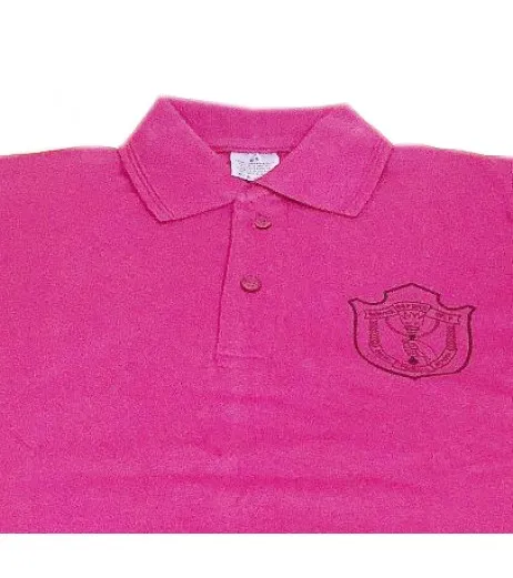 DPS Nerul School Uniform Pink P.T. T-Shirt for Boys Boys Uniforms - SchoolChamp.net