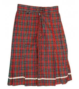 DAV School Uniform Multicolored Skirt for Girls